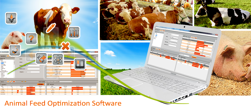 best mix feed formulation software download